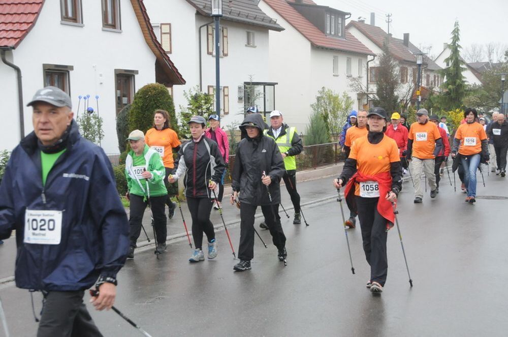 Mössinger Stadtlauf 2013