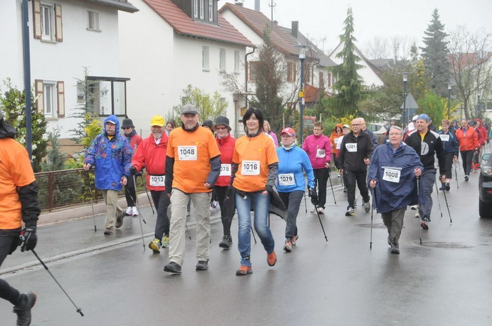 Mössinger Stadtlauf 2013