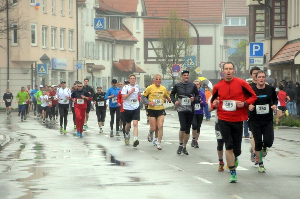 Mössinger Stadtlauf 2013