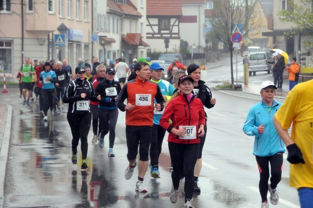 Mössinger Stadtlauf 2013