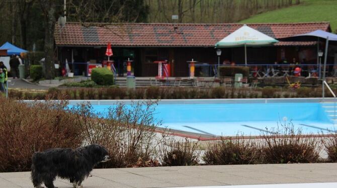 So ein Hundewetter, hat sich Purzel gedacht, und mit Herrchen einen Ausflug zum Öschinger Freibadfest gemacht, wo er einer der e