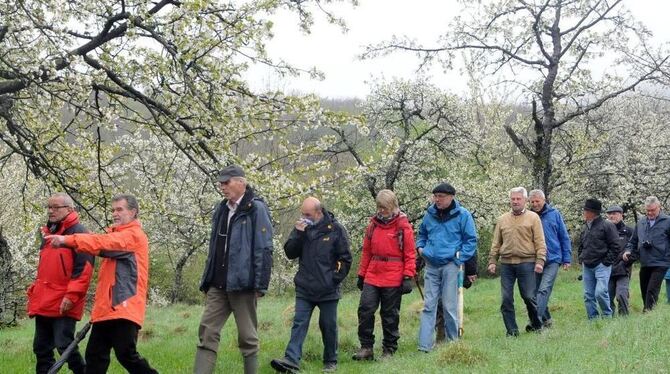 Sag mir, wo die Bienen sind: Teilnehmer des Rundgangs auf der Belsener Markung. GEA-FOTO: MEYER