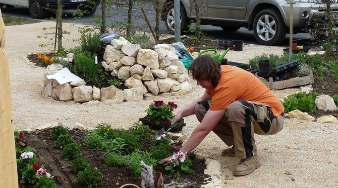 Hochbetrieb für die Gärtner kurz vor dem Start der Gartenschau 2013 in Sigmaringen. FOTO: RAHMIG