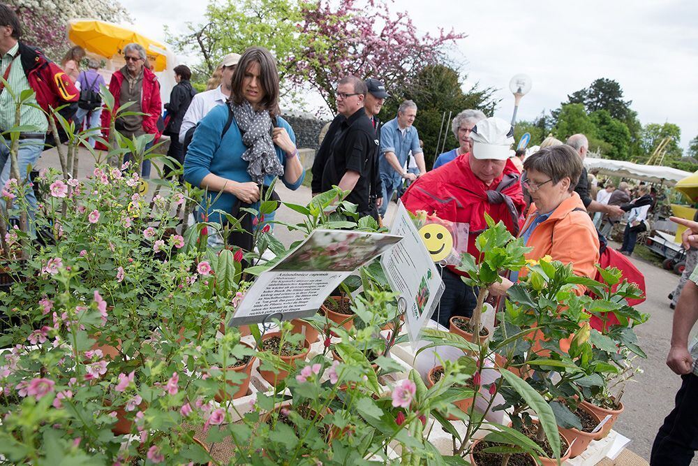 Garden Life 2013