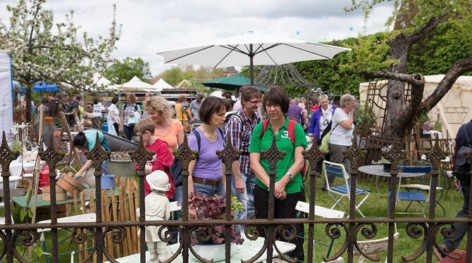 Garden Life: Viele schöne Dinge gibt es da zu sehen. FOTO: ZAWADIL