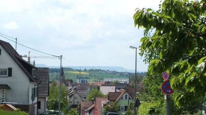 Es gibt durchaus Bäume und Büsche entlang der Esslinger Straße in Pliezhausen zwischen den Einmündungen von Juchtlenstraße und T