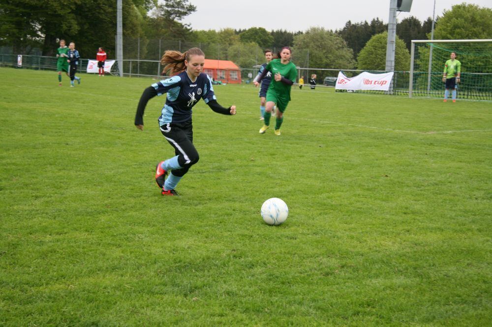 Pfingstfest TSV Pfronstetten-Wilsingen 2013