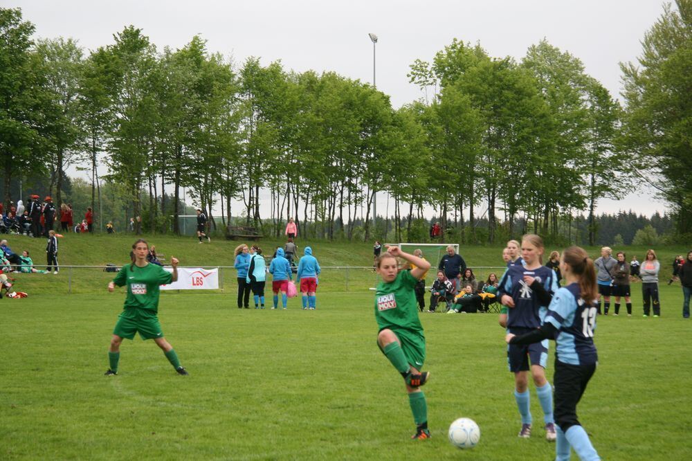 Pfingstfest TSV Pfronstetten-Wilsingen 2013