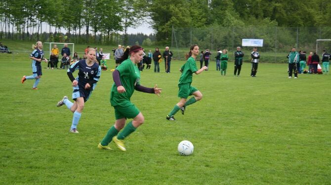 Pfingstfest TSV Pfronstetten-Wilsingen 2013