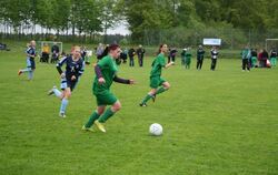 Pfingstfest TSV Pfronstetten-Wilsingen 2013