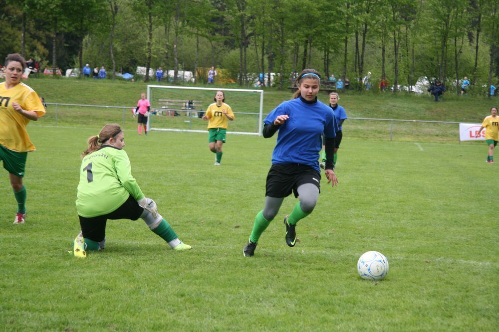 Pfingstfest TSV Pfronstetten-Wilsingen 2013