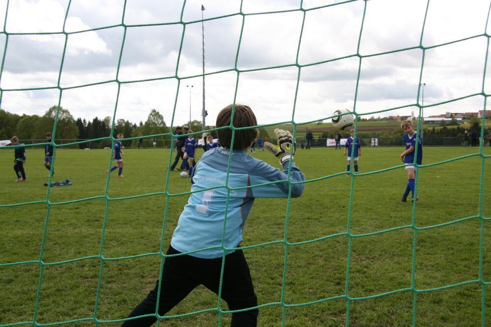 Pfingstfest TSV Pfronstetten-Wilsingen 2013