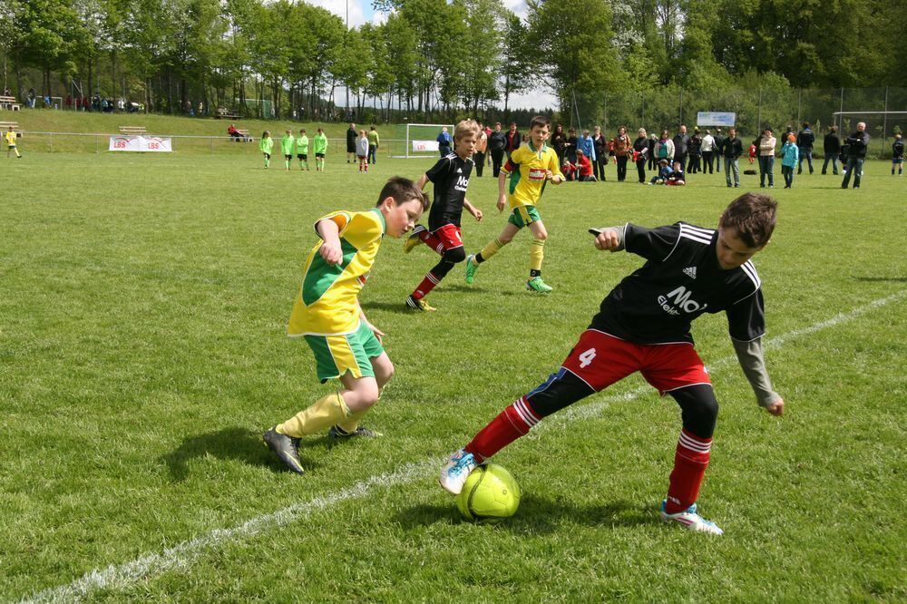 Pfingstfest TSV Pfronstetten-Wilsingen 2013