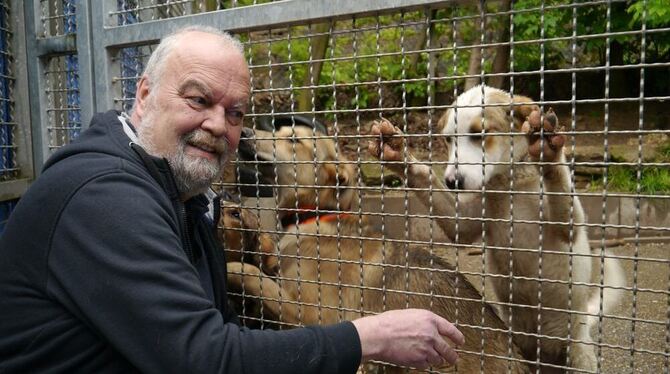 Hans Noe, Vorsitzender des Tierschutzvereins, wünscht sich, dass die Streuner auch künftig eine Bleibe im Tierheim haben.  FOTO: