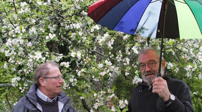 Die Blüte der Apfel- und Birnbäume in Bernloch ist zwar gut zwei Wochen im Verzug. Das hat sie aber, wie Günter Schöllhorn (link