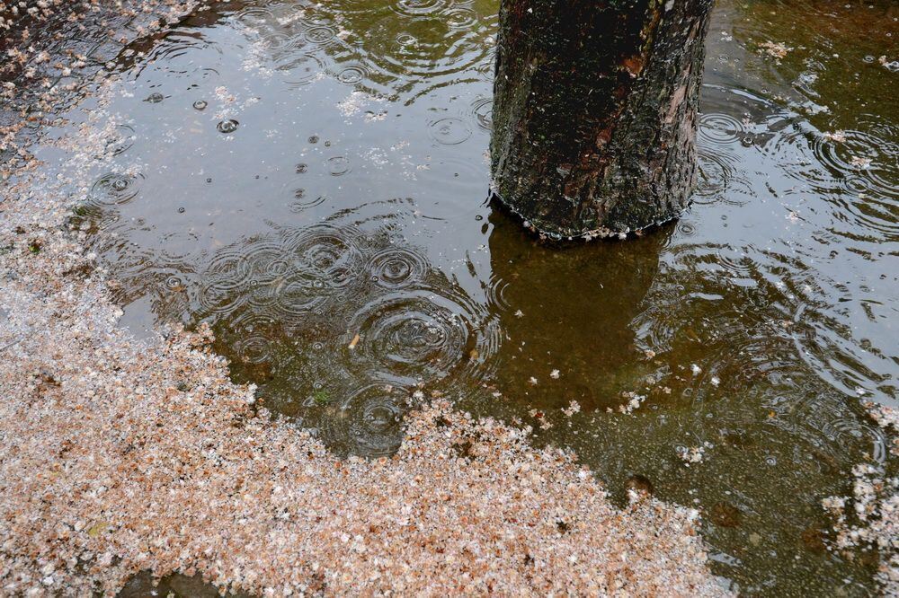 Nasskalter Sommeranfang in der Region