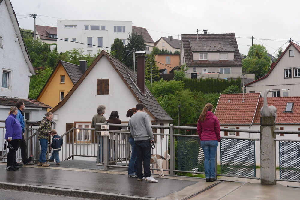 Neckar-Hochwasser bei Mittelstadt.