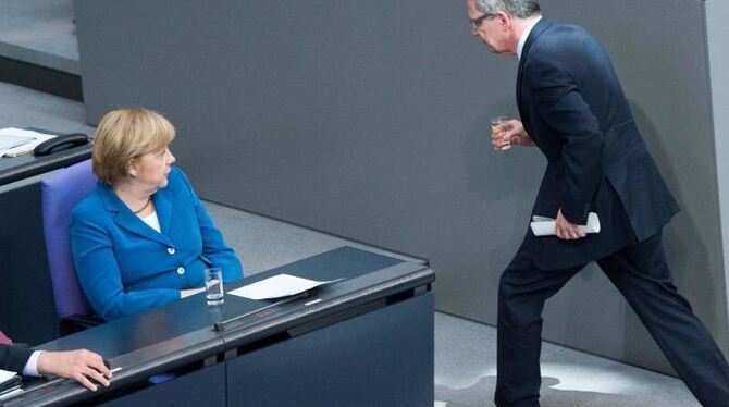 Verteidigungsminister Thomas de Maizière und Bundeskanzlerin Angela Merkel. Foto: Maurizio Gambarini