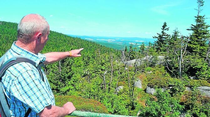 Berg- und Naturfreund Heinz Jahreiss teilt seine Leidenschaft fürs Fichtelgebirge gern mit anderen. FOTO: HEISS