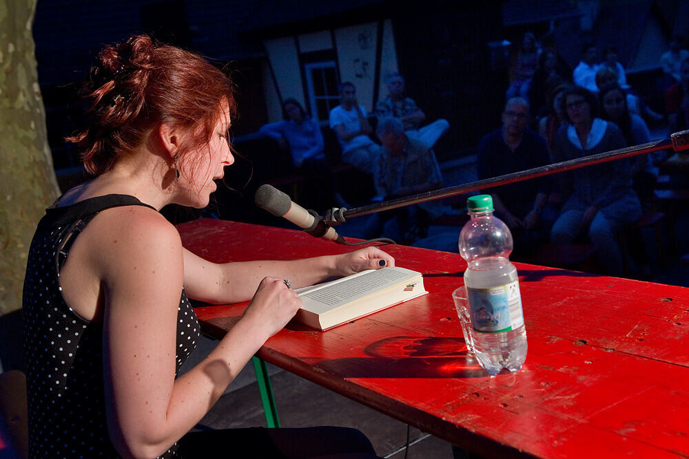 Bücherfest in Tübingen Juni 2013