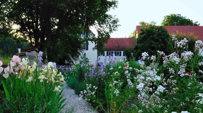 Bluhende Schonheiten Im Offenhausener Iris Garten Uber Die Alb