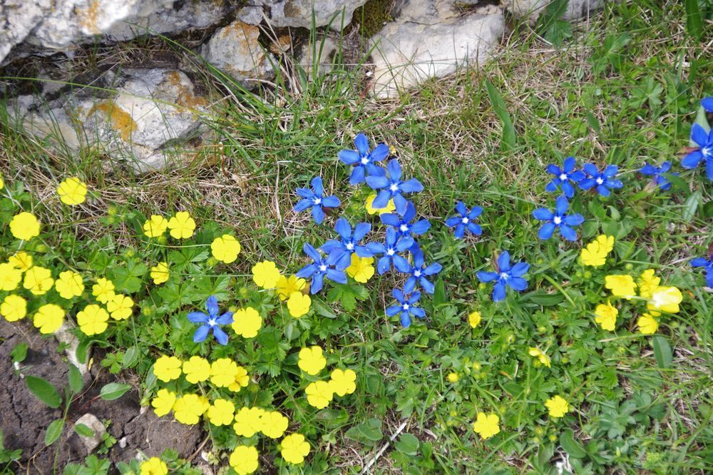 Leserwanderung Gardasee 2013