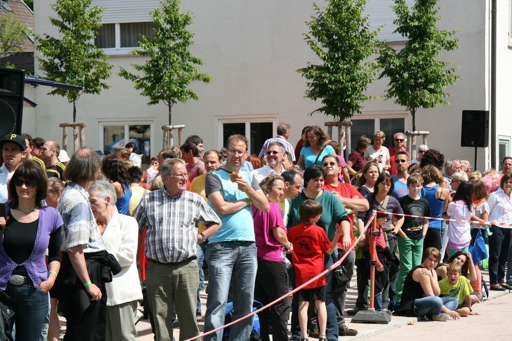 Lichtensteinlauf 2013