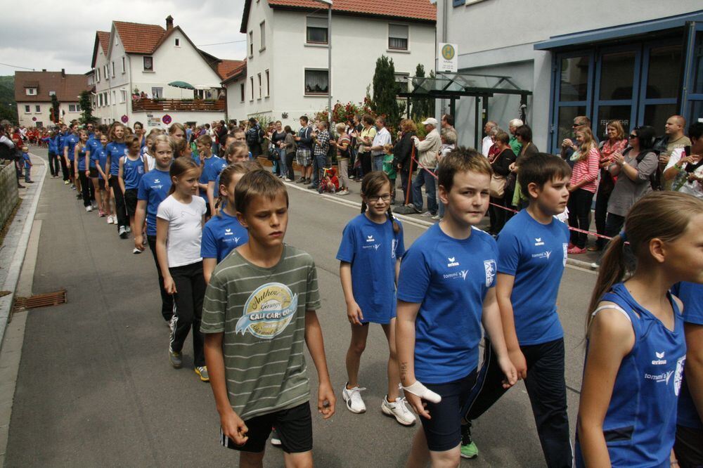 Lichtensteinlauf 2013