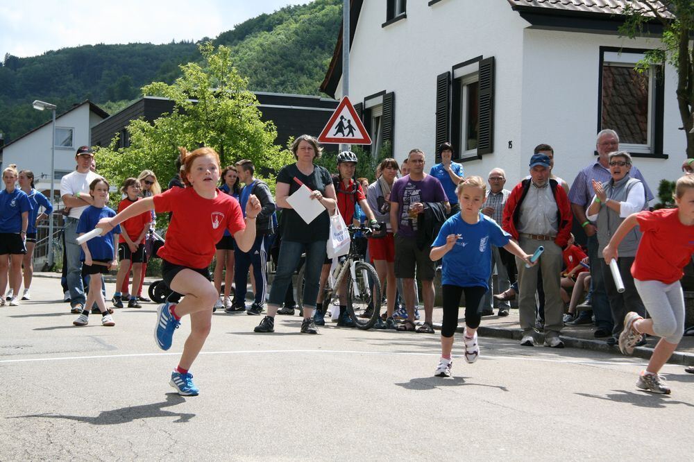 Lichtensteinlauf 2013