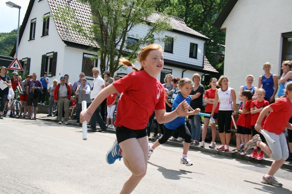 Lichtensteinlauf 2013