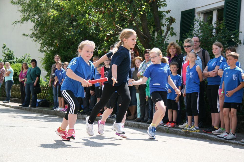 Lichtensteinlauf 2013