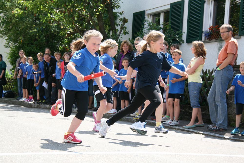 Lichtensteinlauf 2013