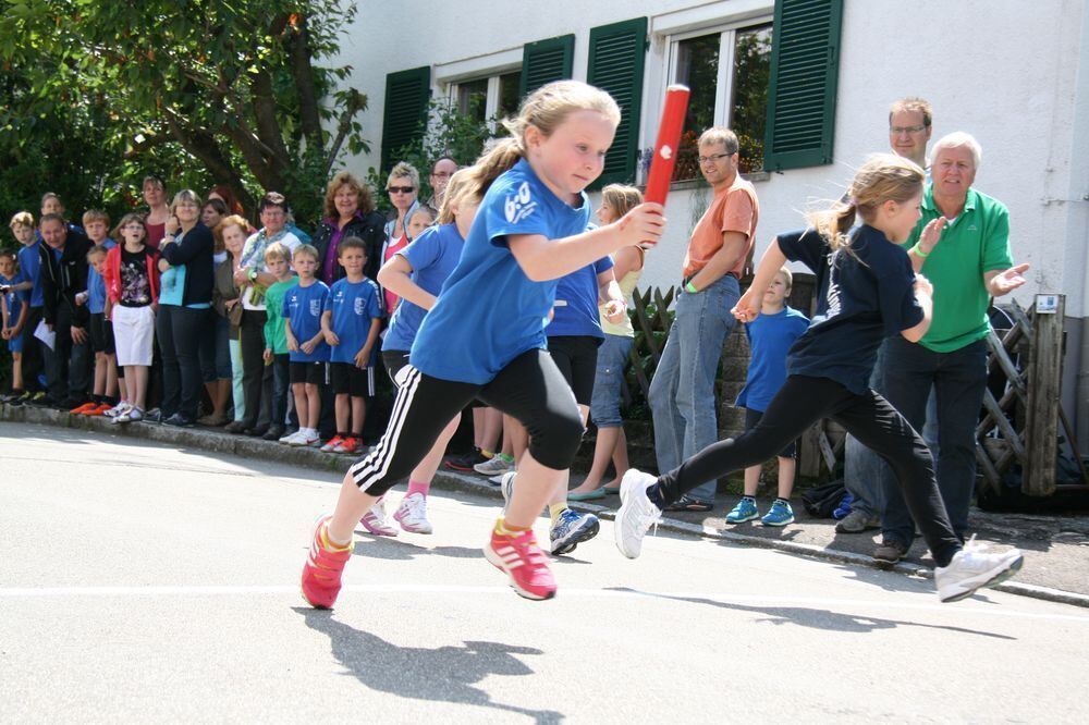 Lichtensteinlauf 2013