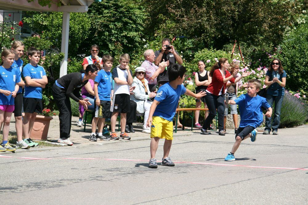 Lichtensteinlauf 2013