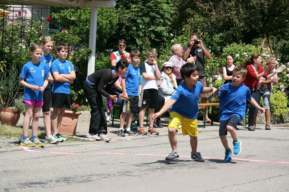 Lichtensteinlauf 2013