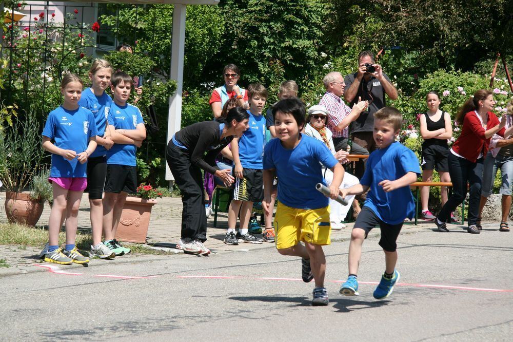 Lichtensteinlauf 2013