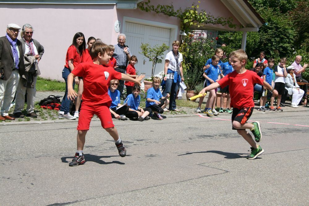 Lichtensteinlauf 2013