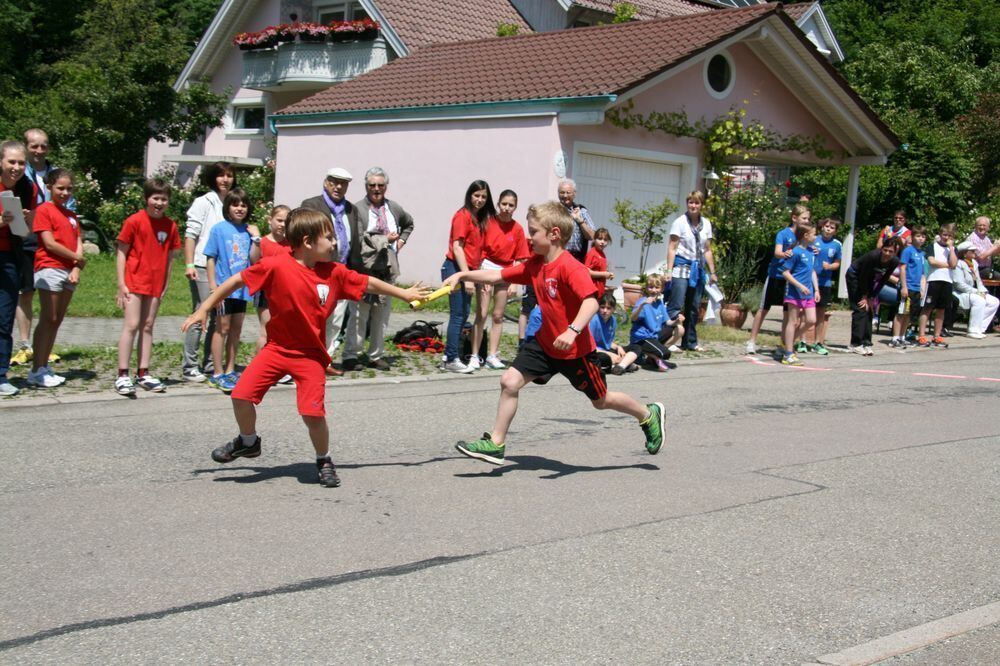 Lichtensteinlauf 2013