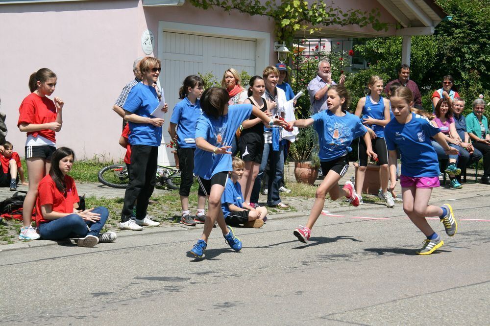 Lichtensteinlauf 2013