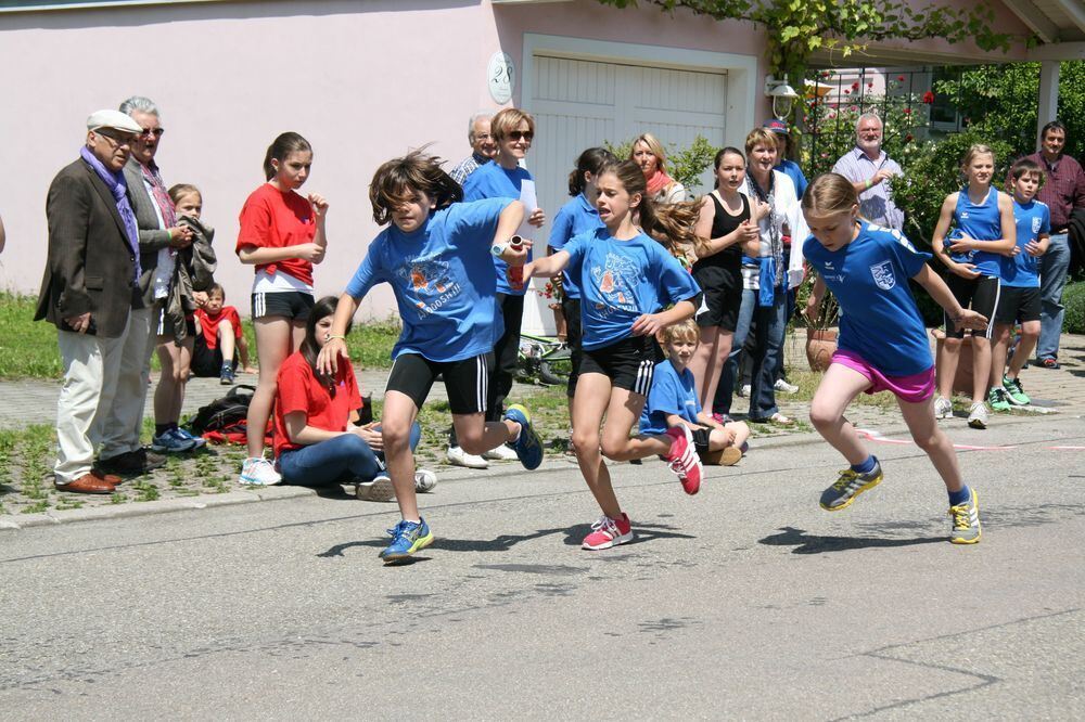 Lichtensteinlauf 2013