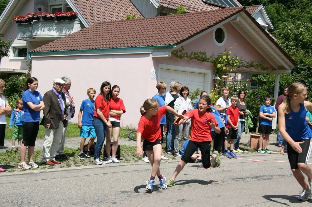 Lichtensteinlauf 2013