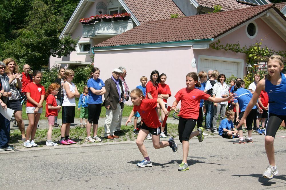 Lichtensteinlauf 2013