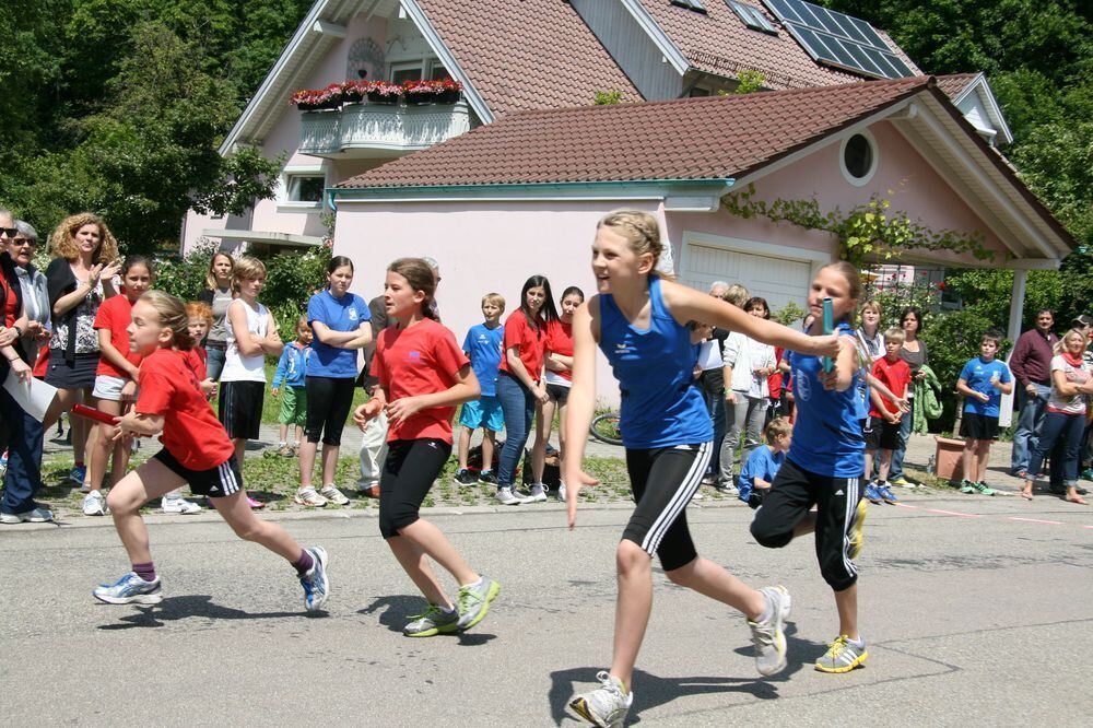 Lichtensteinlauf 2013