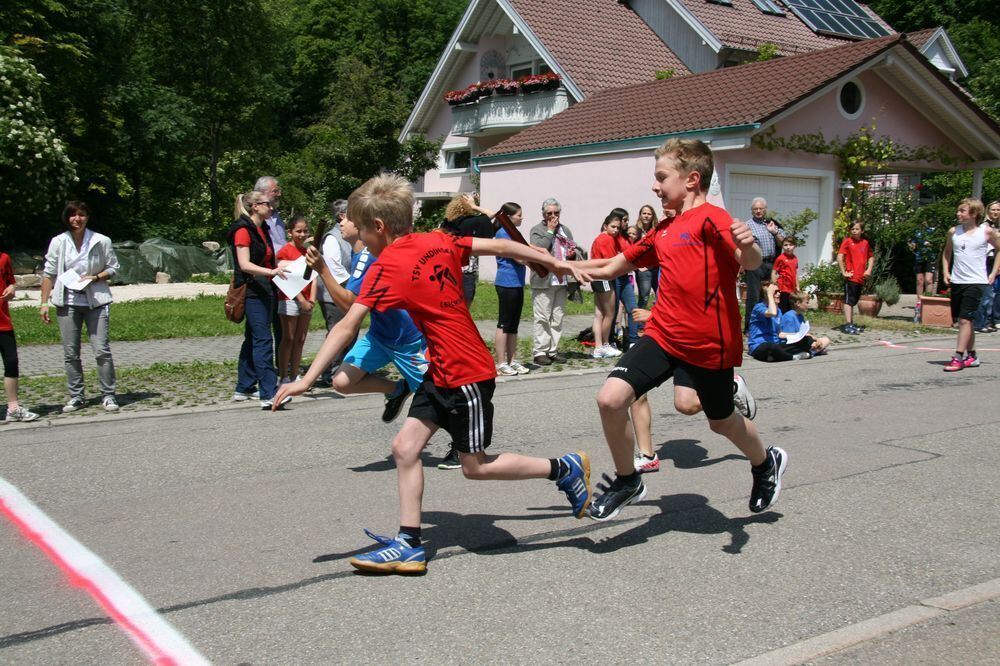 Lichtensteinlauf 2013