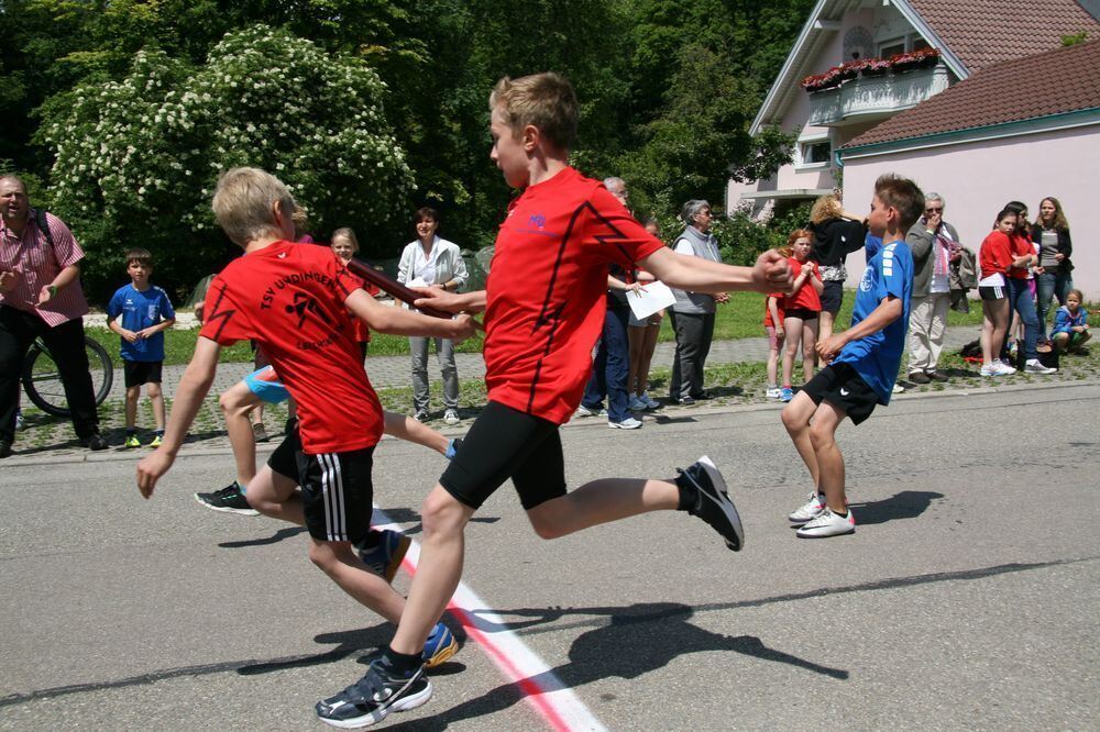 Lichtensteinlauf 2013