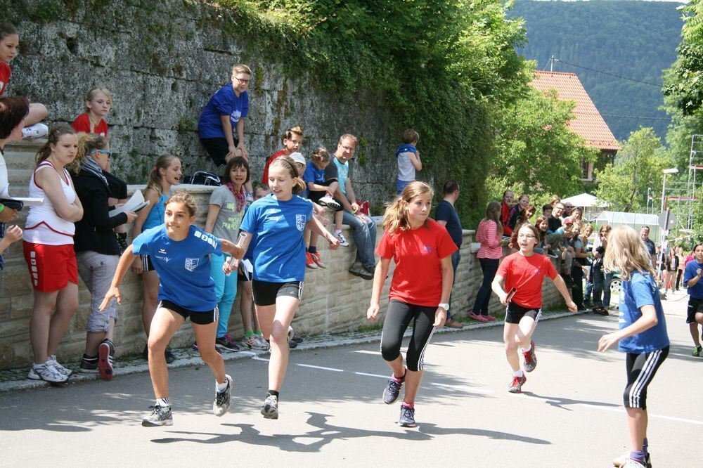 Lichtensteinlauf 2013