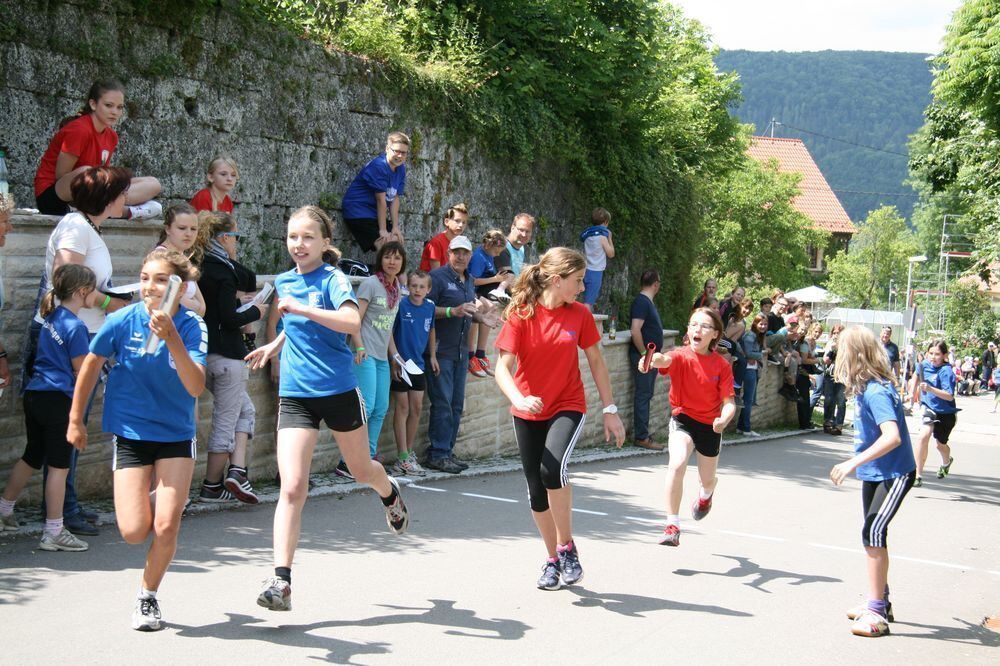 Lichtensteinlauf 2013