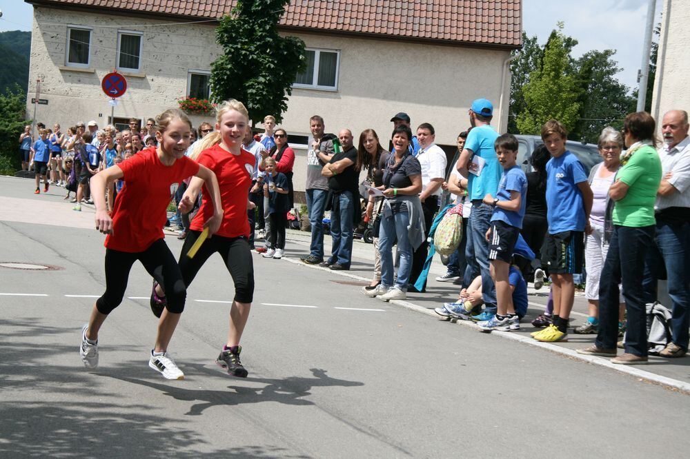 Lichtensteinlauf 2013