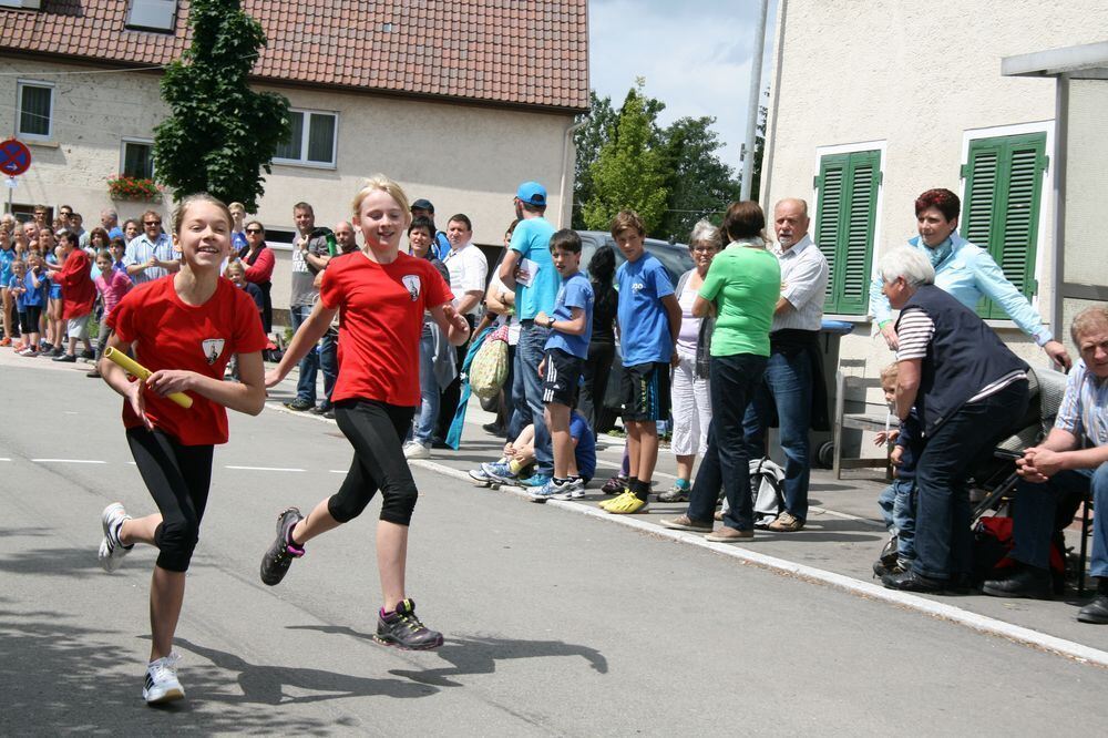 Lichtensteinlauf 2013