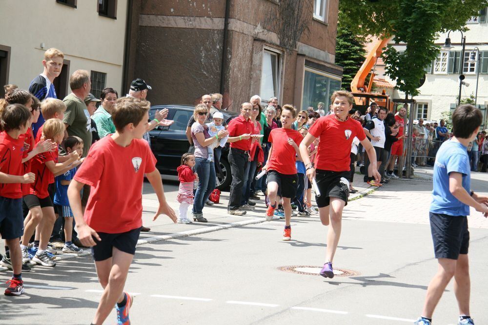 Lichtensteinlauf 2013